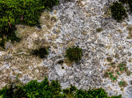 Formes humanes a les pedres de la Selva d'Irati