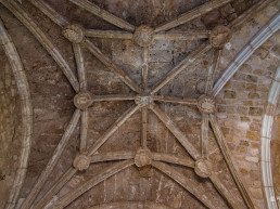 Voltes del claustre de Sant Pere d'Àger
